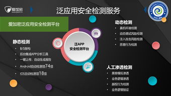 物聯(lián)網(wǎng)時代 5G環(huán)境下的應用服務新風險與防護體系構(gòu)建